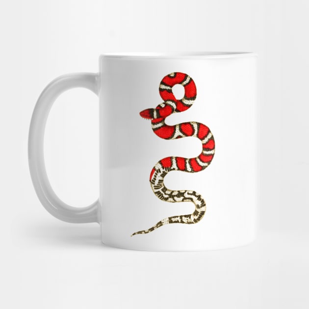 serpent,cobra,reptile,viper,venom,lizard,rattlesnake,king cobra,dragon,hydra,poison,venomous,plumber's snake,pythonidae,pythons,auger,python,squamata,serpentine,worm,big,ophidian,rattlesnakes,medusa,snakebite by vabontchi